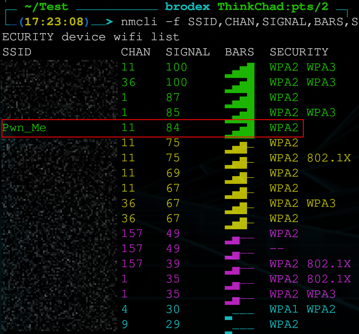 Network Scan